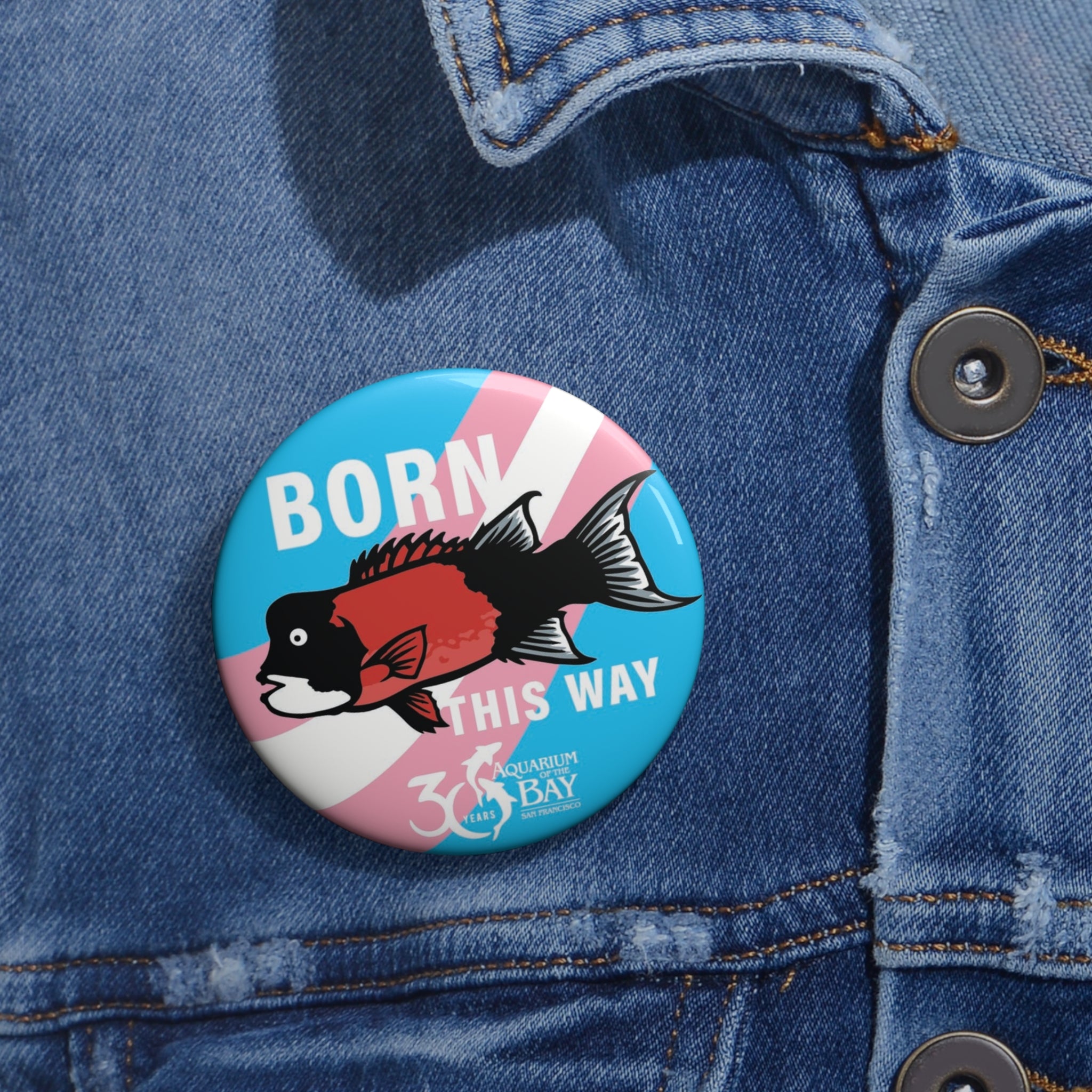 Pin Button — "Born This Way" Trans Pride Fish Button (Aquarium of the Bay)
